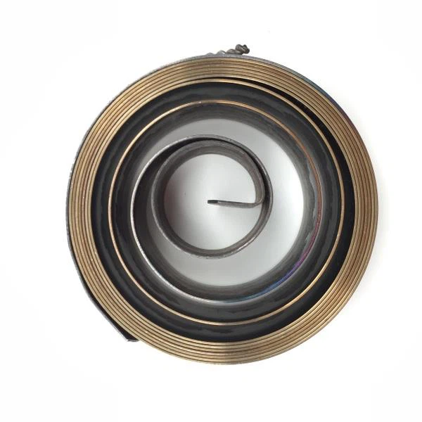 Constant Force Stainless Steel Strip Flat Spiral Spring